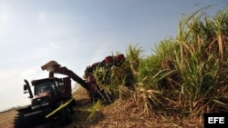 La Habana espera un crecimiento del 17,5 % en su industria azucarera en 2014, al mismo tiempo que precios mundiales más bajos para el edulcorante. 